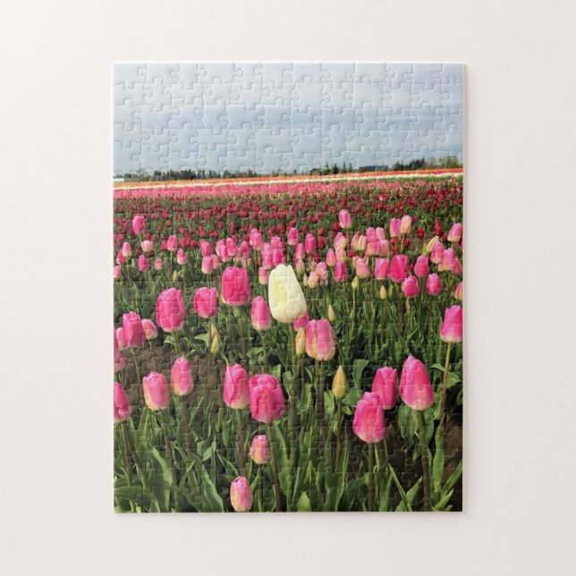 Tulip Farm in Oregon Puzzle (Vertikal)