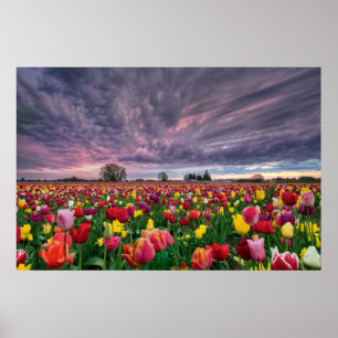 Tulip Farm von Woodburn Oregon Frühjahrsplaner Poster