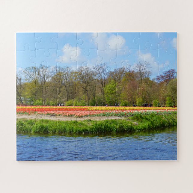 Tulip-Feld in Holland Puzzle (Horizontal)
