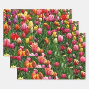 Tulip Festival Geschenkpapier Set