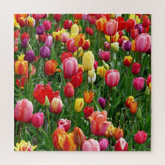 Tulip Festival Jigsaw Puzzle (Vertikal)