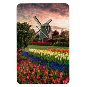 Tulip Festival Magnet