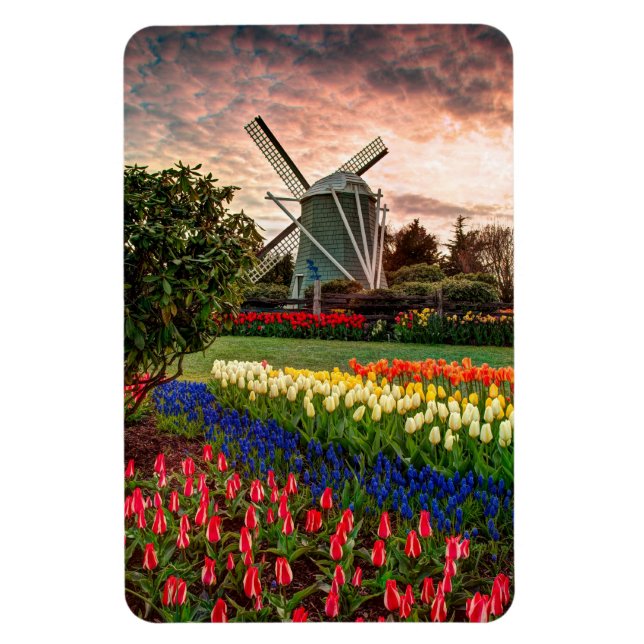 Tulip Festival Magnet (Vertikal)
