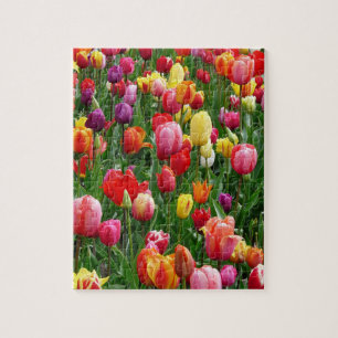 Tulip Festival Puzzle