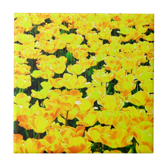 Tulip field - goldgelb fliese (Vorderseite)