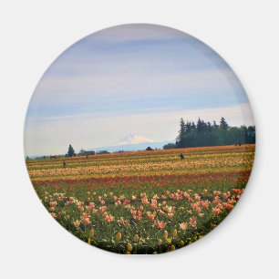 Tulip Field mit Mt. Hood, Oregon Magnet