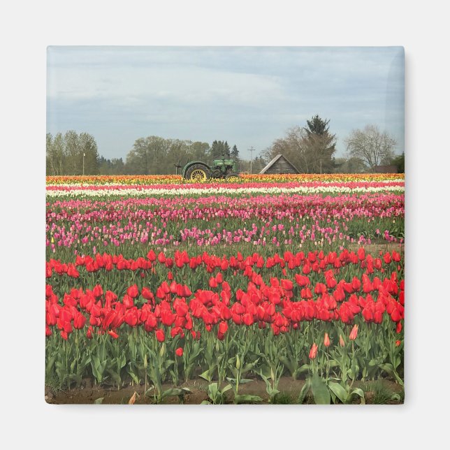 Tulip Field mit Traktor und Stall Magnet (Vorne)