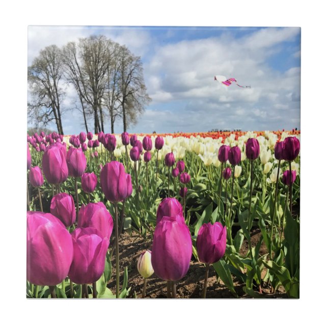 Tulip Field with Kite, Oregon Fliese (Vorderseite)