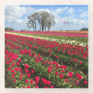 Tulip Field with Kite, Oregon Glasuntersetzer