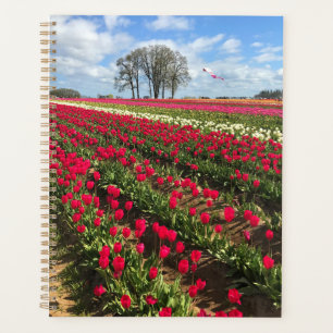 Tulip Field with Kite, Oregon Planer