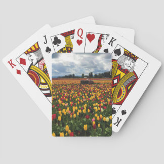 Tulip Field with Old Traktor, Oregon Spielkarten