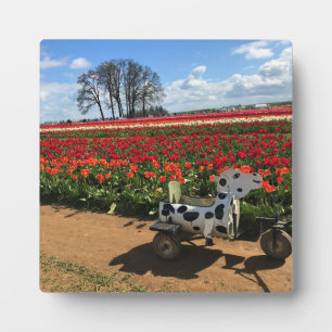 Tulip Field with Toy Cow, Oregon Fotoplatte