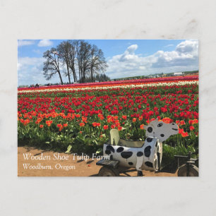 Tulip Field with Toy Cow, Oregon Postcard Postkarte
