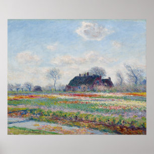 Tulip Fields bei Sassenheim von Claude Monet Poster