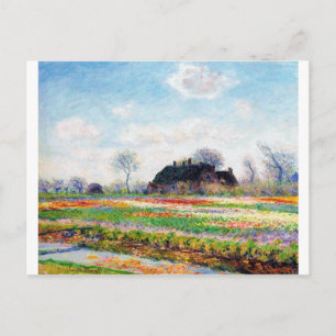 Tulip Fields in den Niederlanden, Monet Postkarte
