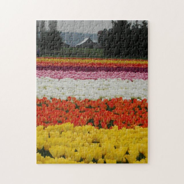 Tulip Fields Puzzle, 11" x 14", 252 pieces Puzzle (Vertikal)