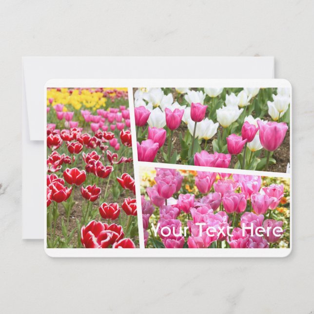 Tulip [Flat Card] (Vorderseite)