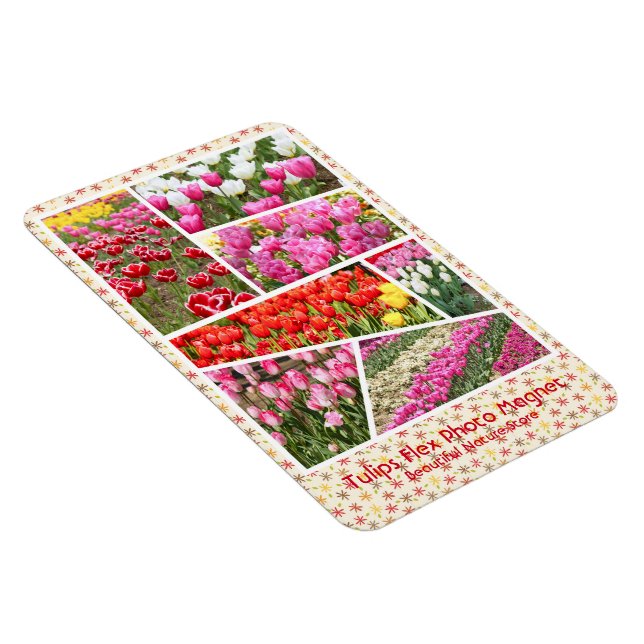 Tulip [Flex Foto Magnet] Magnet (Rechte Seite)