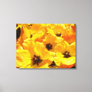 Tulip Floral Canvas druckt Yellow Tulips Festival Leinwanddruck