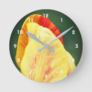 Tulip Flower Petals With Raindrops Close Up  Runde Wanduhr