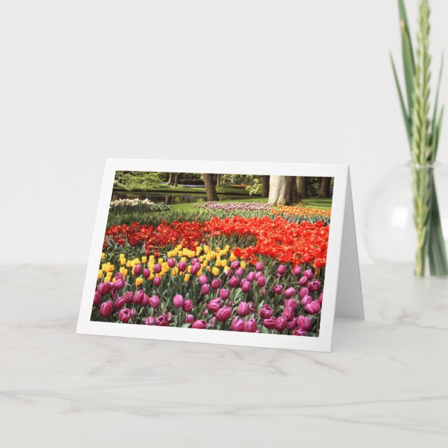 Tulip Galore Faltleere Grußkarte Karte (Vorderseite)