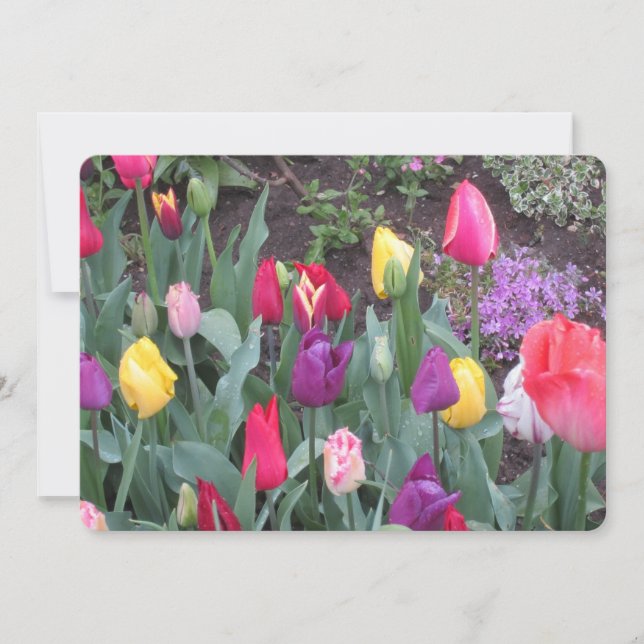 Tulip Garden Flat Holiday Card Feiertagskarte (Vorderseite)