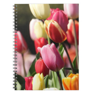 Tulip Garden Notizblock