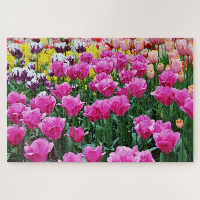 Tulip Garden Puzzle (Horizontal)