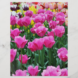 Tulip Garden Scrapbook Paper
