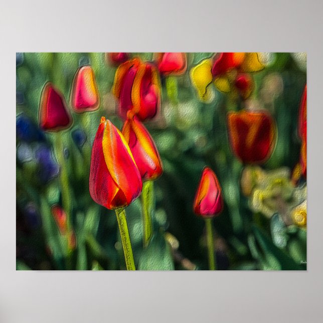 Tulip Garden Textured Poster (Vorne)