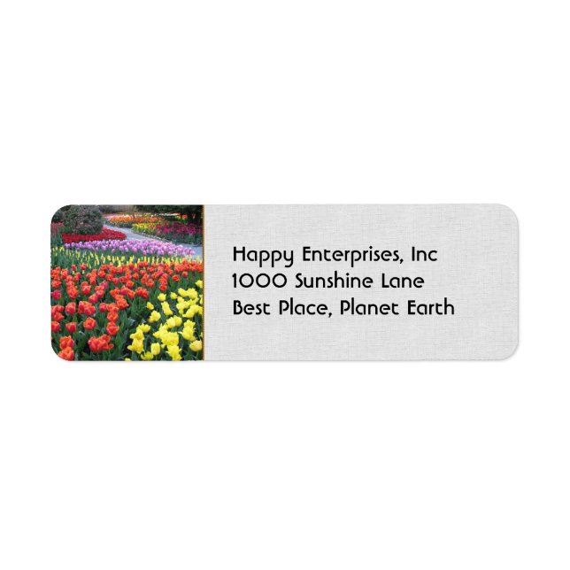 Tulip Gardens (Vorne)