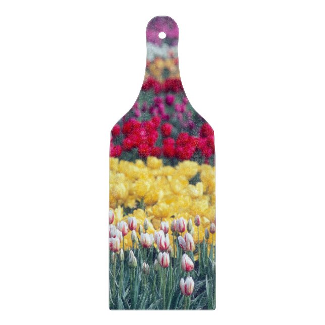 Tulip-Gartenanlage im Skagital, Schneidebrett (Vorderseite)