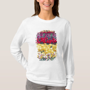 Tulip-Gartenanlage im Skagital, T-Shirt