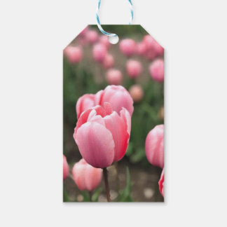 TULIP GIFT TAGS GESCHENKANHÄNGER