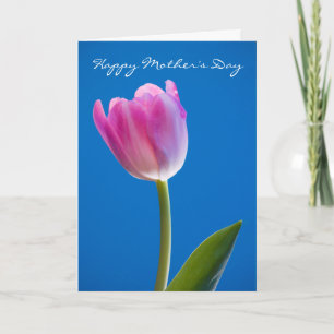 Tulip, glücklicher Muttertag Karte