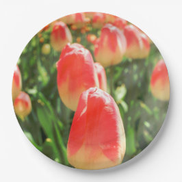 Tulip Heaven Plate Pappteller