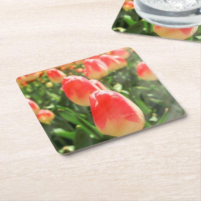 Tulip Heaven Rechteckiger Pappuntersetzer (angewinkelt)