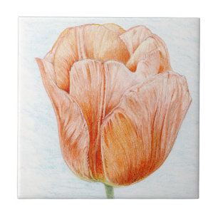 Tulip in Peach Fliese