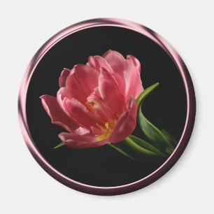 Tulip in Spring Double Bloom Foto Magnet