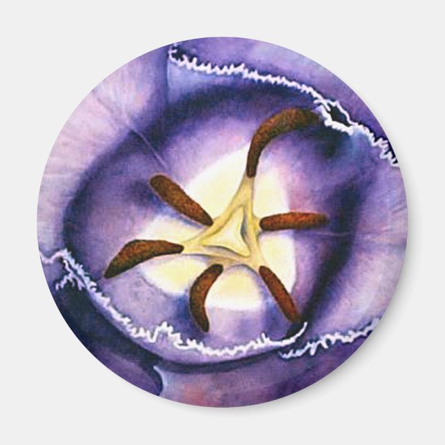 Tulip Interior Magnet (Vorne)