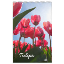 Tulip-Kalender
