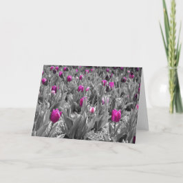 Tulip Karte