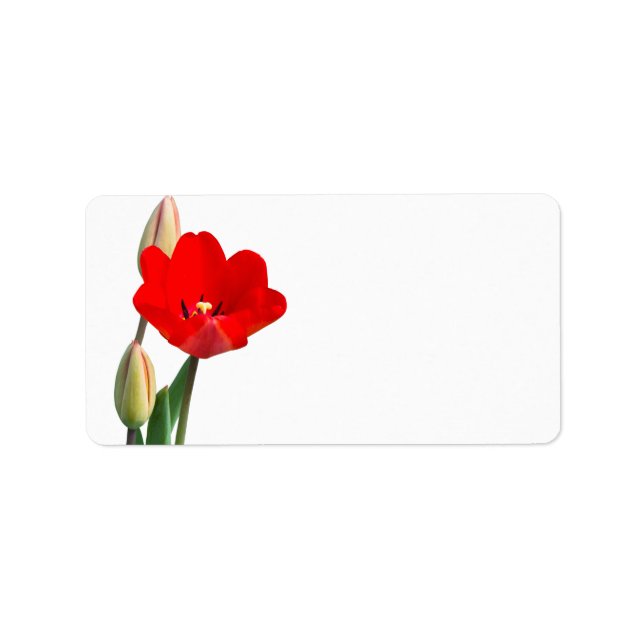 Tulip Label Adressaufkleber (Vorne)