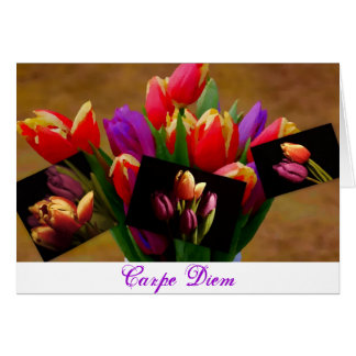Tulip Liebe Carpe Diem Card