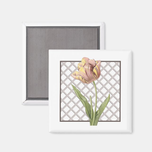 TULIP MAGNET (Vorderseite/Rückseite)