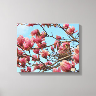 Tulip Magnolia Baum mit Birdsnest auf Leinwand