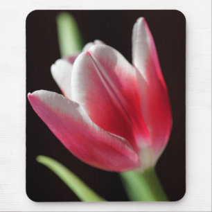 Tulip Mousepad