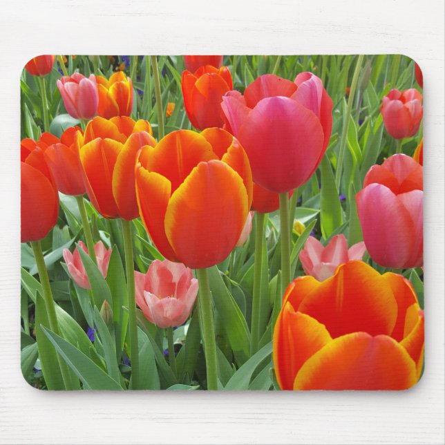 Tulip Mousepad (Vorne)
