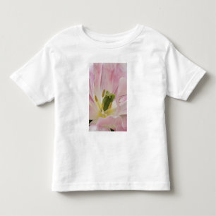 Tulip nah up, Keukenhof Gardens, Lisse, Kleinkind T-shirt