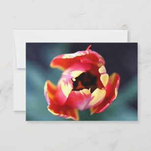Tulip Notecard Mitteilungskarte